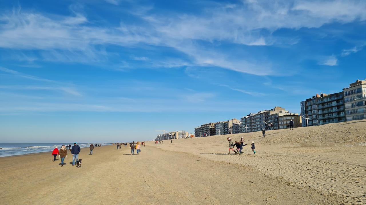 코크시데 Plaza Magdalena 아파트 외부 사진
